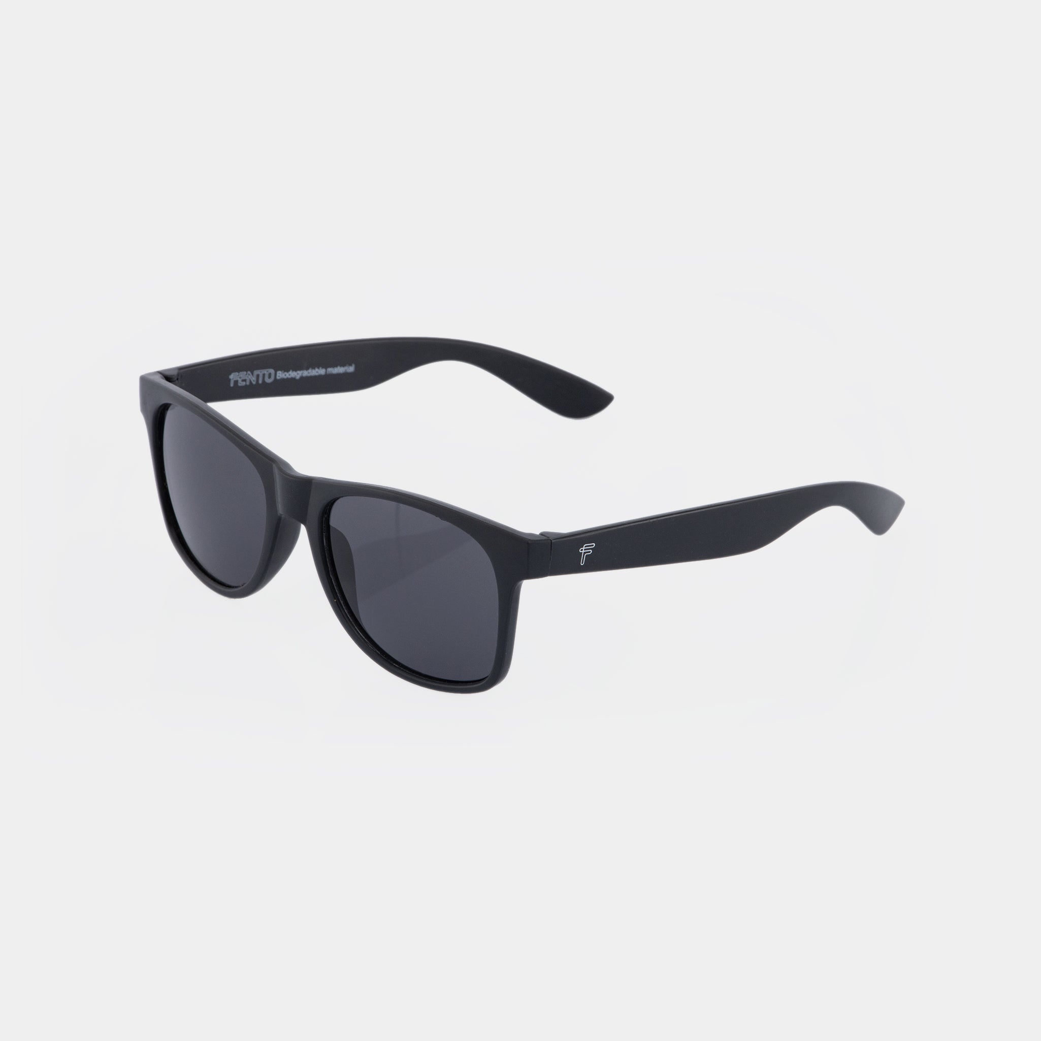 Wayfarer Wheat Sunglasses - Black